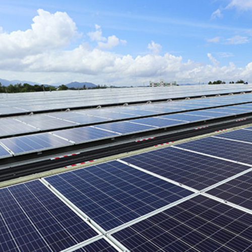 True Energy and Consultancy Services