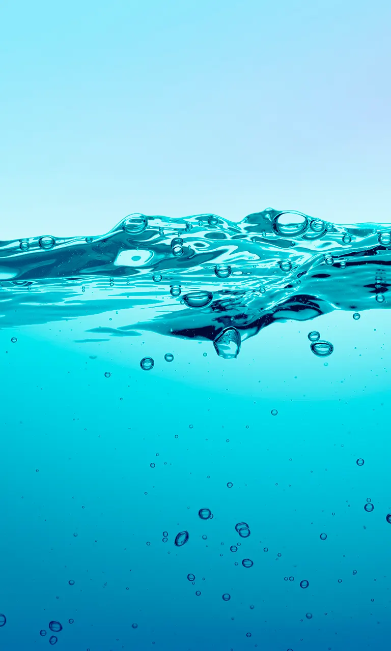 True Energy and Consultancy Services