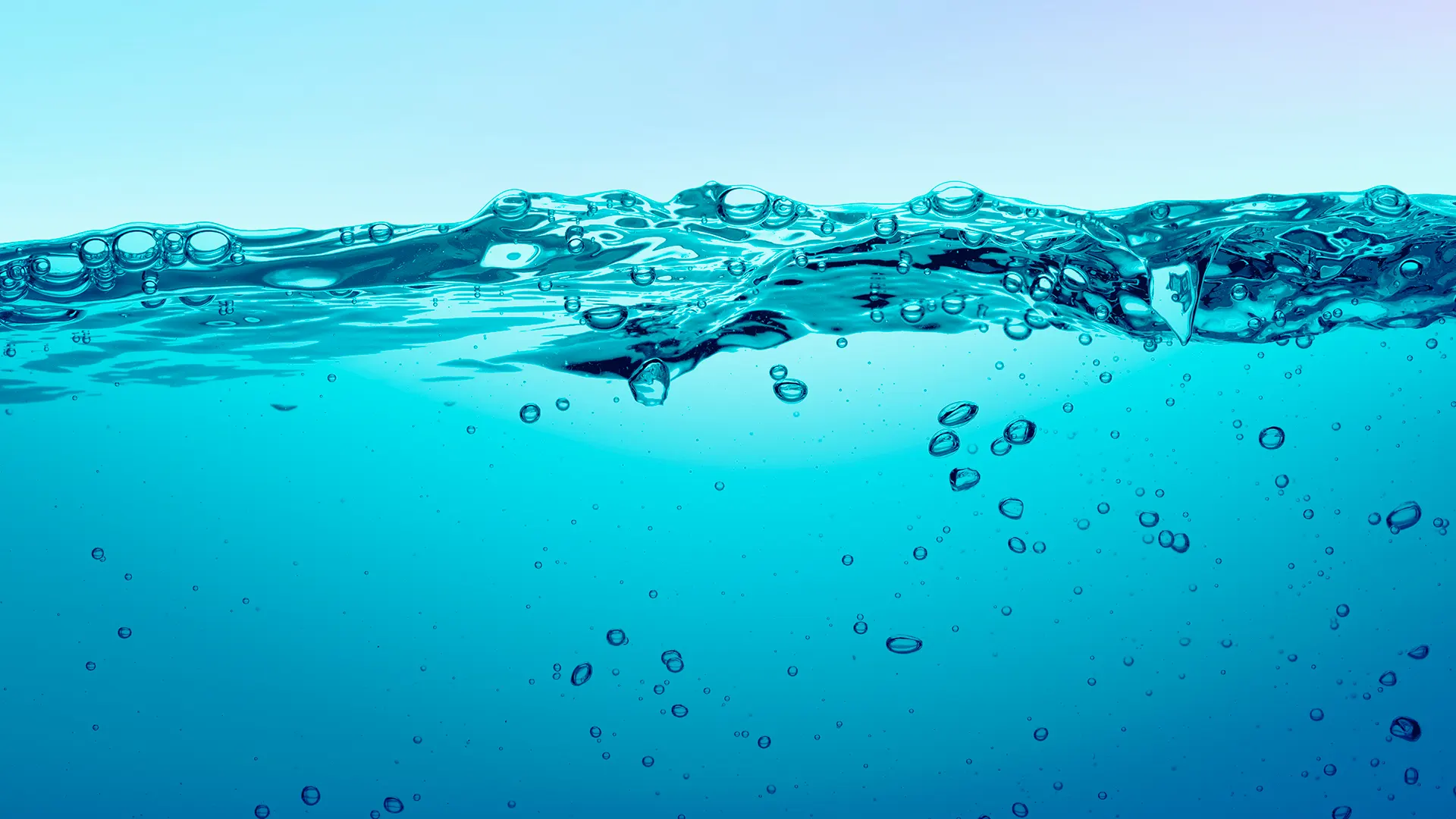 True Energy and Consultancy Services