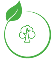 True Energy and Consultancy Services